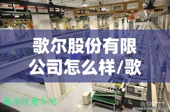 歌尔股份有限公司怎么样/歌尔正式员工一月工资多少钱