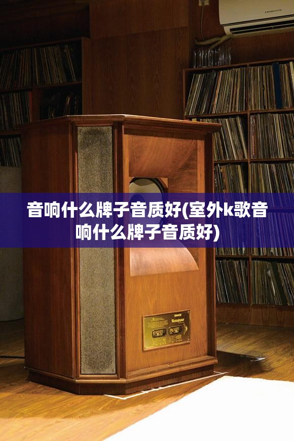 音响什么牌子音质好(室外k歌音响什么牌子音质好) 音响什么牌子音质好(室外k歌音响什么牌子音质好)