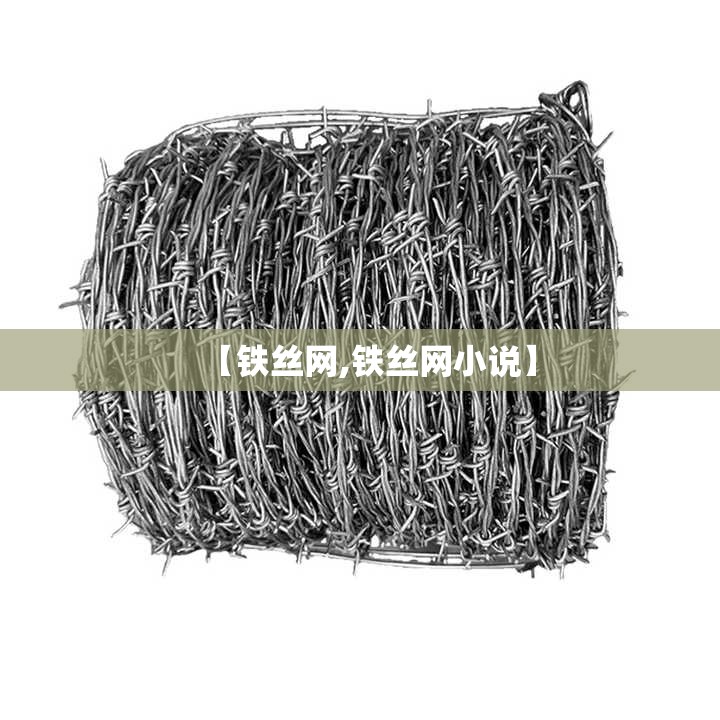 【铁丝网,铁丝网小说】