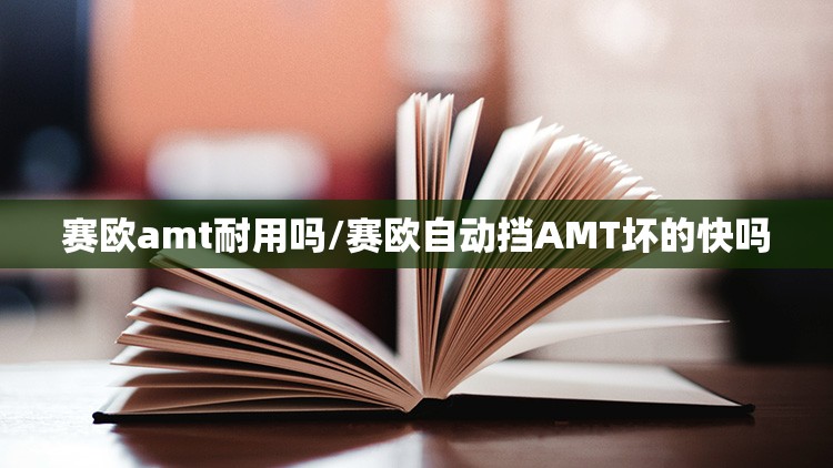 赛欧amt耐用吗/赛欧自动挡AMT坏的快吗 赛欧amt耐用吗/赛欧自动挡AMT坏的快吗