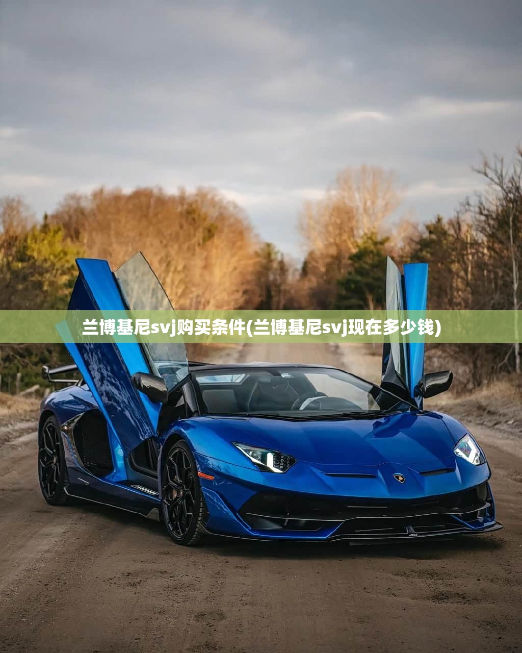兰博基尼svj购买条件(兰博基尼svj现在多少钱)