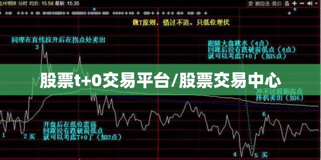 股票t+0交易平台/股票交易中心 股票t+0交易平台/股票交易中心
