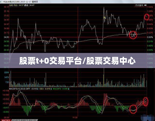 股票t+0交易平台/股票交易中心 股票t+0交易平台/股票交易中心