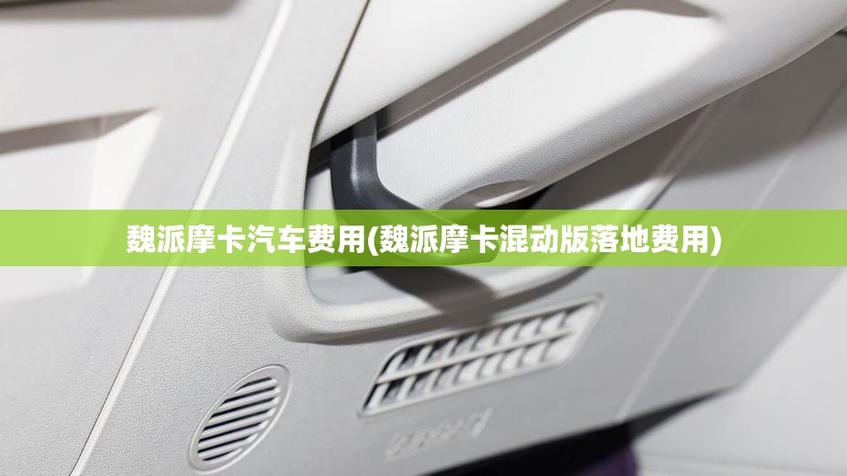 魏派摩卡汽车费用(魏派摩卡混动版落地费用)