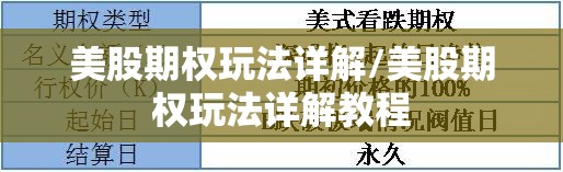 美股期权玩法详解/美股期权玩法详解教程 美股期权玩法详解/美股期权玩法详解教程