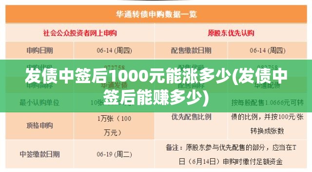 发债中签后1000元能涨多少(发债中签后能赚多少)