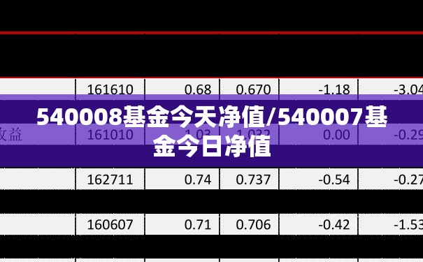 540008基金今天净值/540007基金今日净值 540008基金今天净值/540007基金今日净值