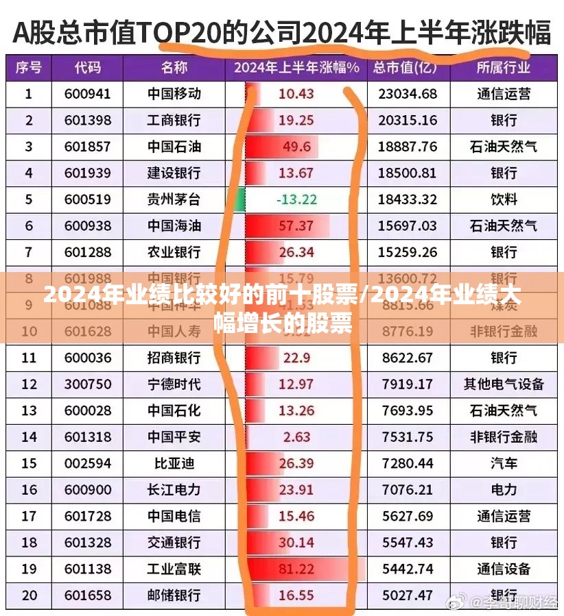 2024年业绩比较好的前十股票/2024年业绩大幅增长的股票