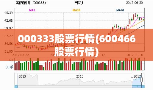 000333股票行情(600466股票行情)