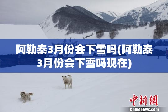 阿勒泰3月份会下雪吗(阿勒泰3月份会下雪吗现在)