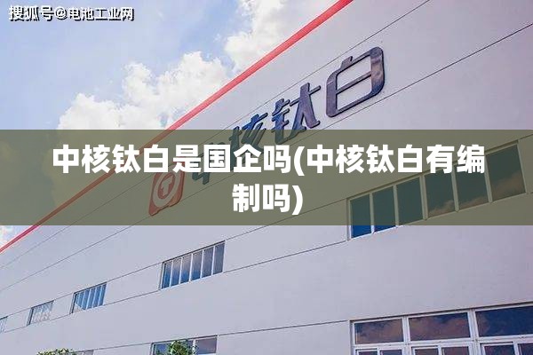 中核钛白是国企吗(中核钛白有编制吗) 中核钛白是国企吗(中核钛白有编制吗)