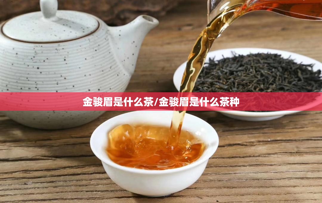 金骏眉是什么茶/金骏眉是什么茶种