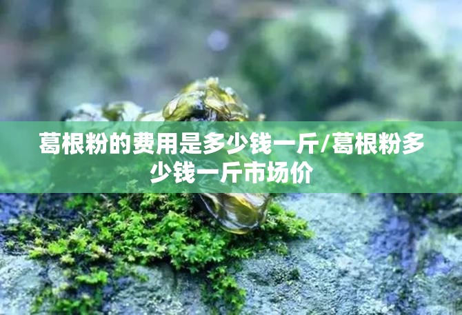 葛根粉的费用是多少钱一斤/葛根粉多少钱一斤市场价 葛根粉的费用是多少钱一斤/葛根粉多少钱一斤市场价