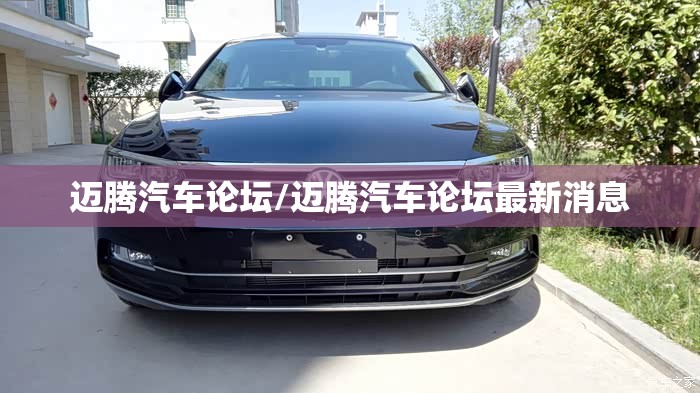 迈腾汽车论坛/迈腾汽车论坛最新消息