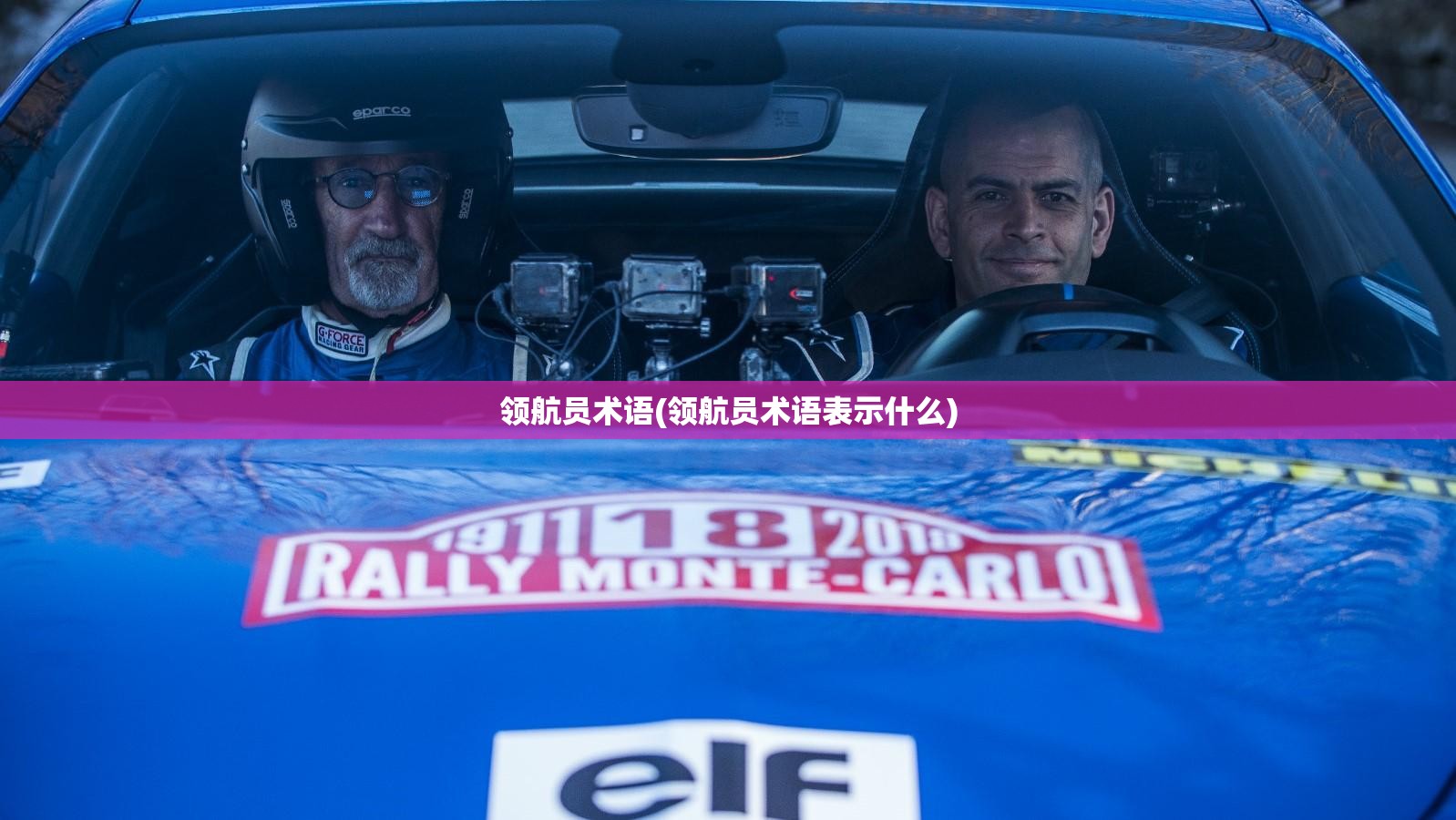 领航员术语(领航员术语表示什么)