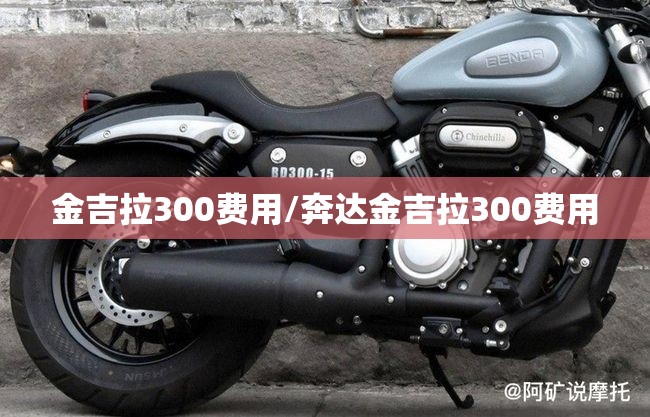 金吉拉300费用/奔达金吉拉300费用 金吉拉300费用/奔达金吉拉300费用
