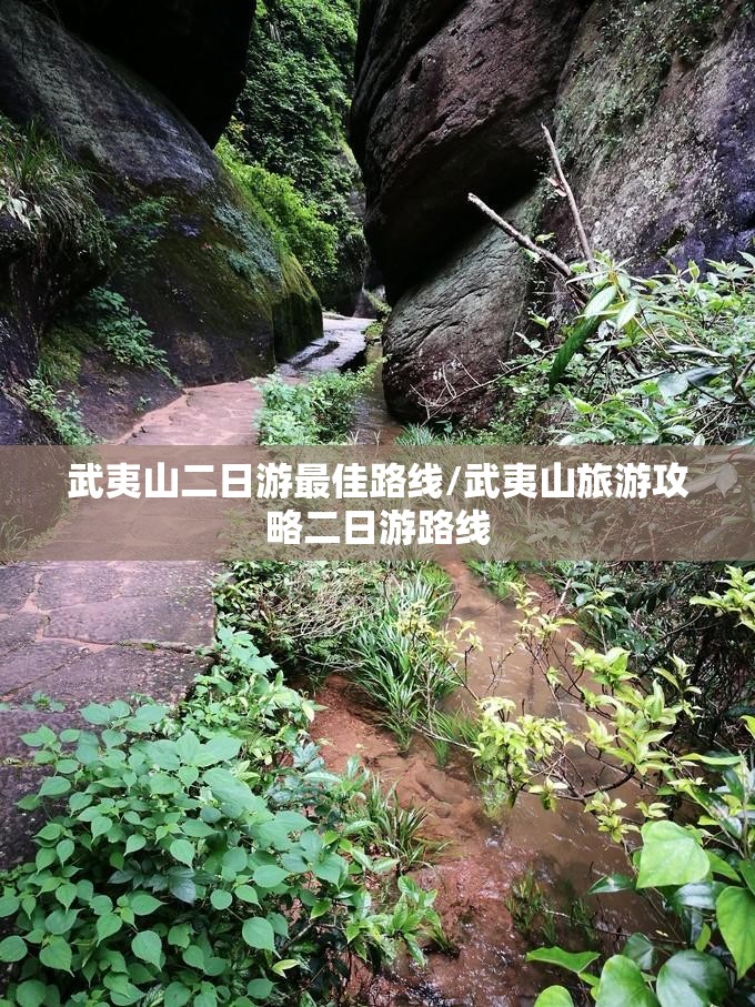 武夷山二日游最佳路线/武夷山旅游攻略二日游路线