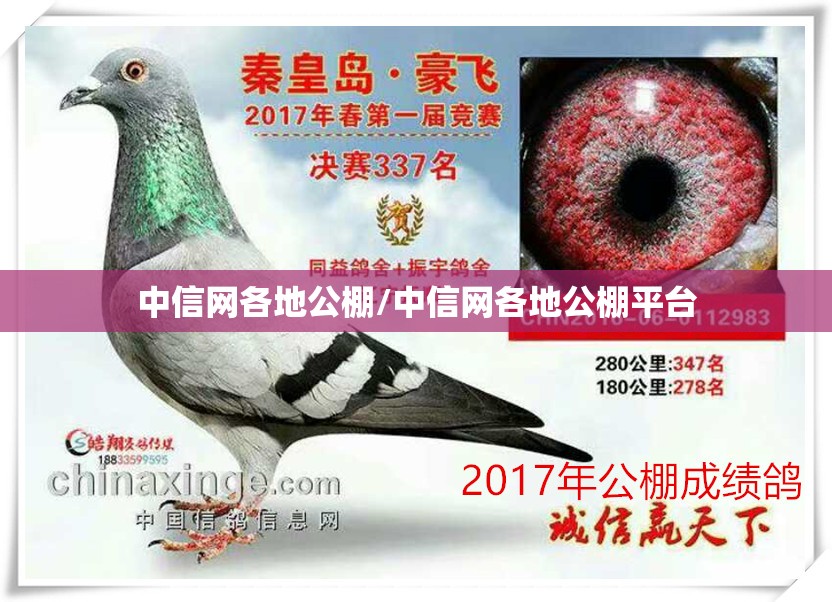 中信网各地公棚/中信网各地公棚平台
