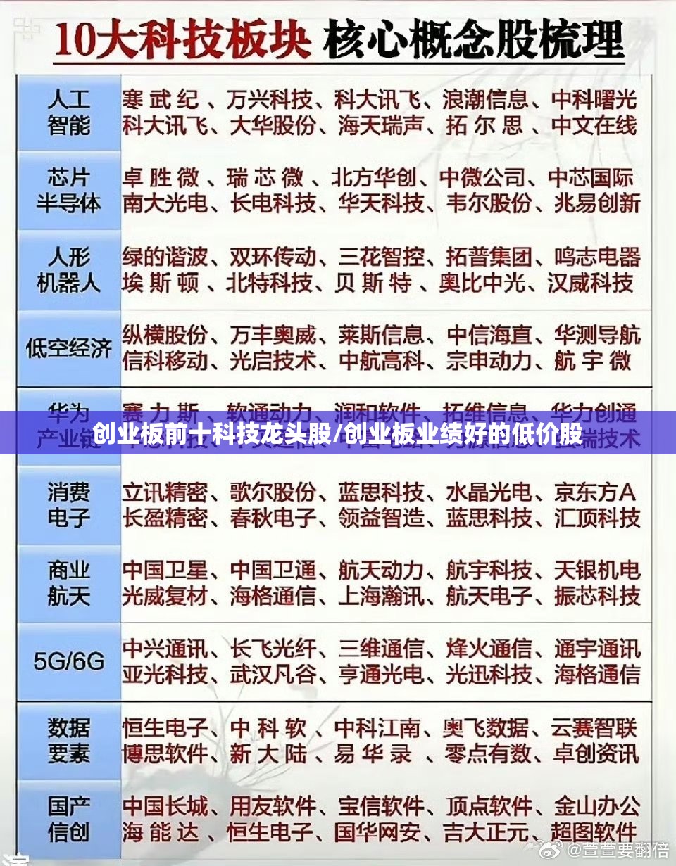 创业板前十科技龙头股/创业板业绩好的低价股