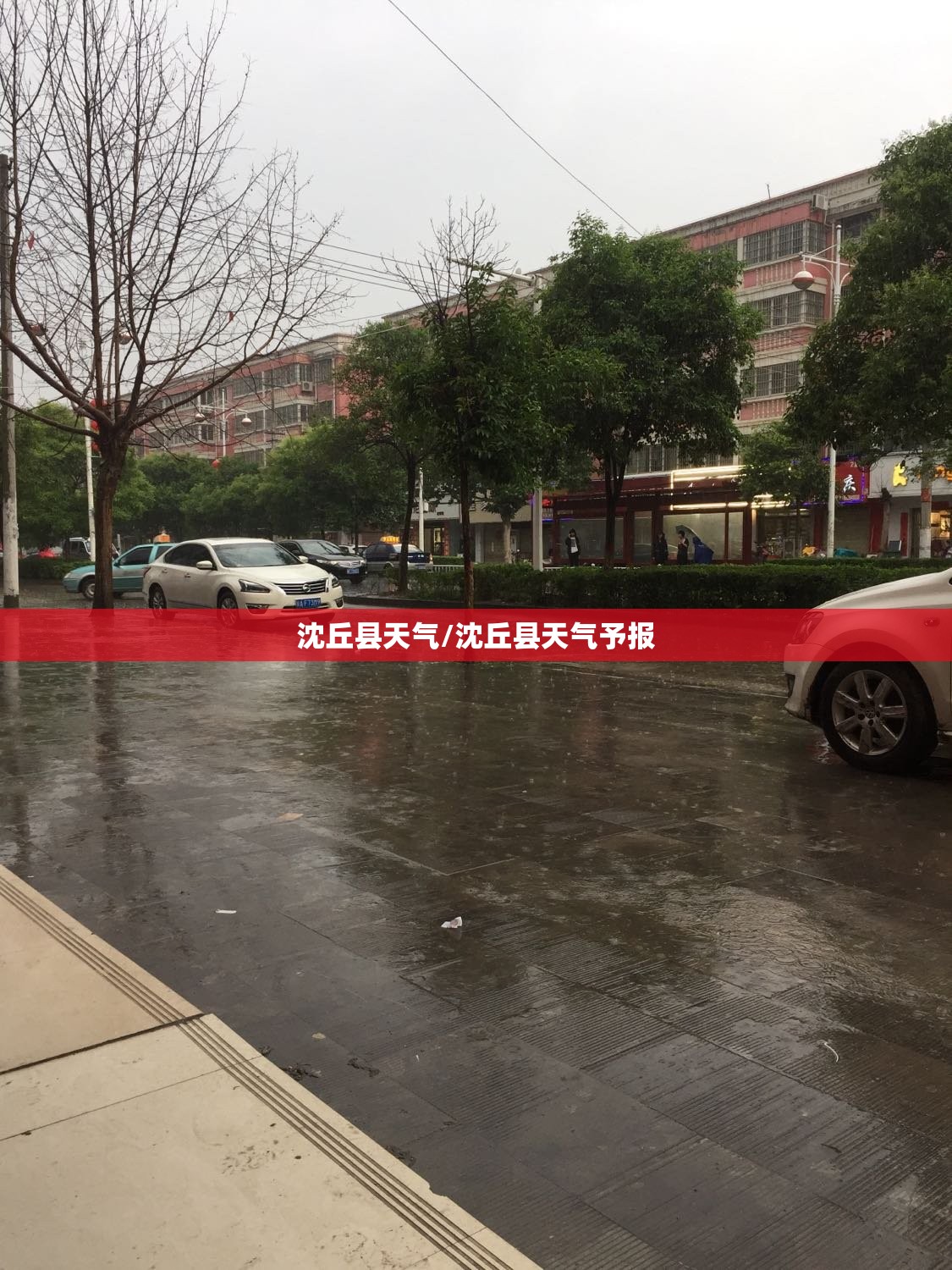 沈丘县天气/沈丘县天气予报 沈丘县天气/沈丘县天气予报