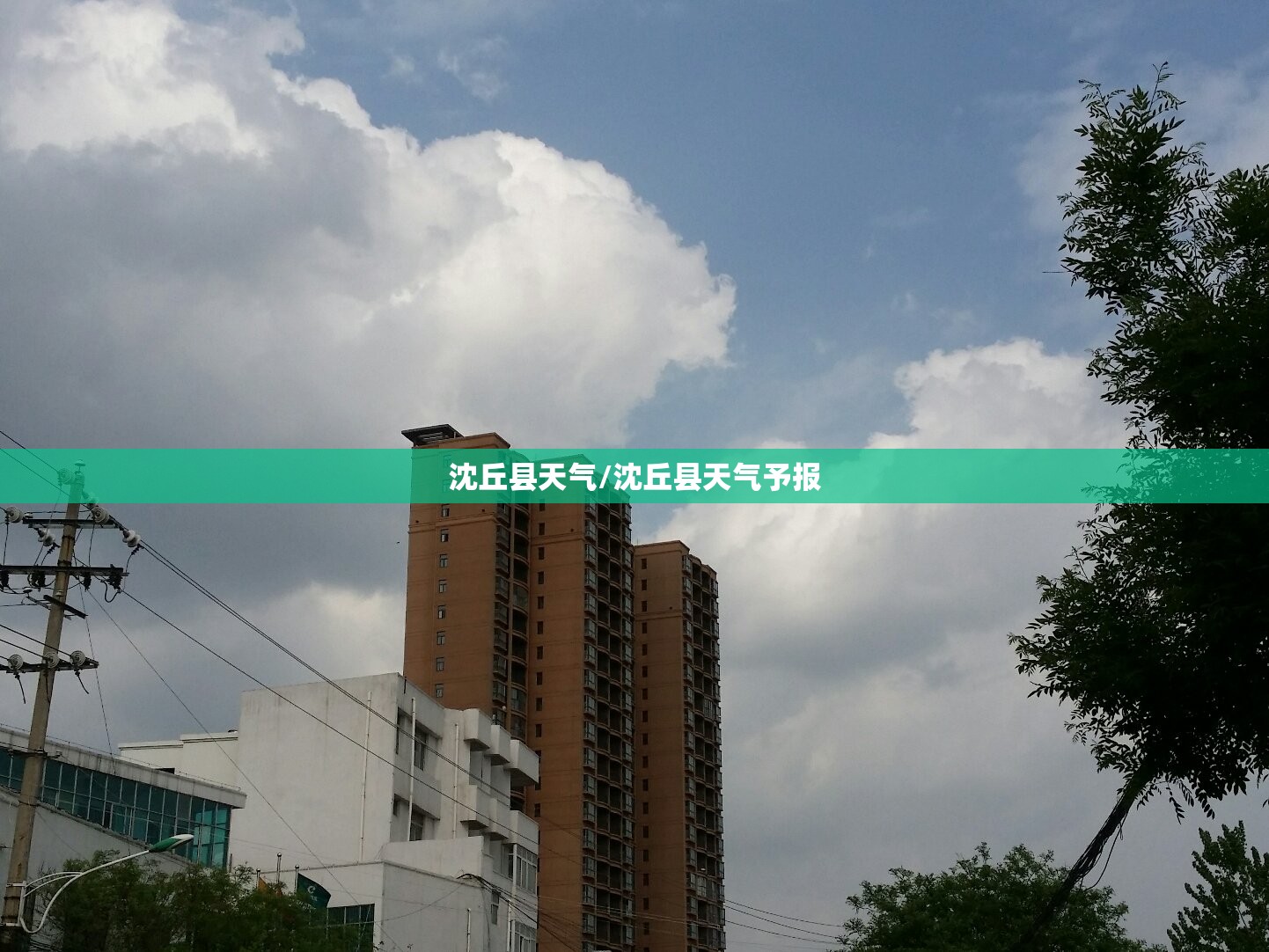 沈丘县天气/沈丘县天气予报 沈丘县天气/沈丘县天气予报