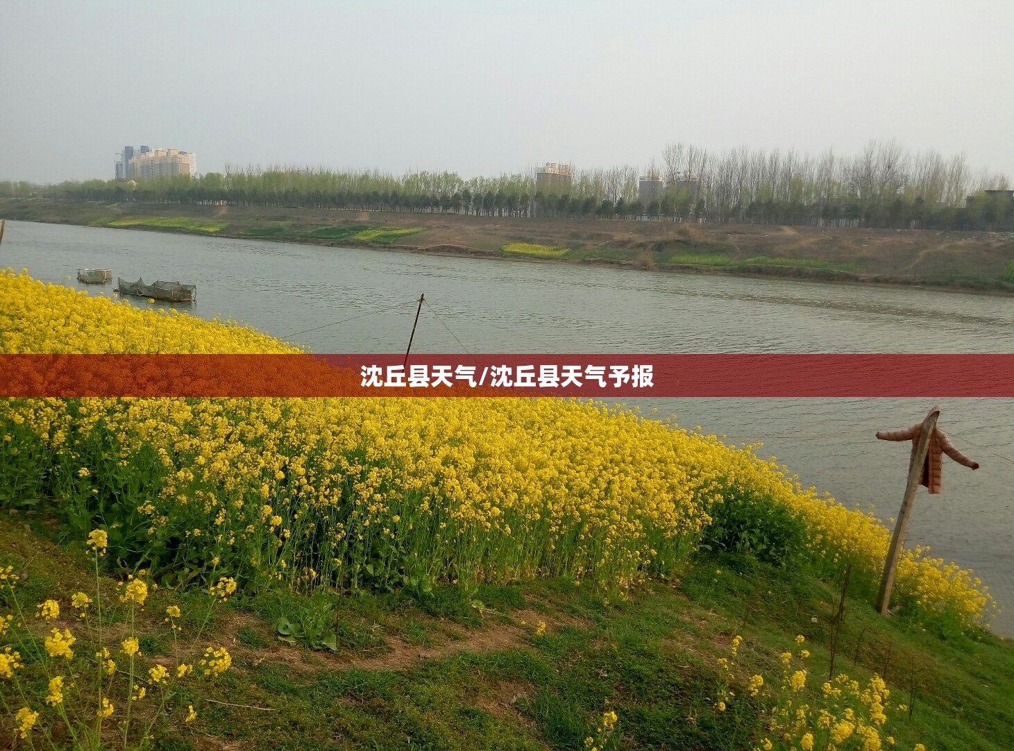 沈丘县天气/沈丘县天气予报 沈丘县天气/沈丘县天气予报