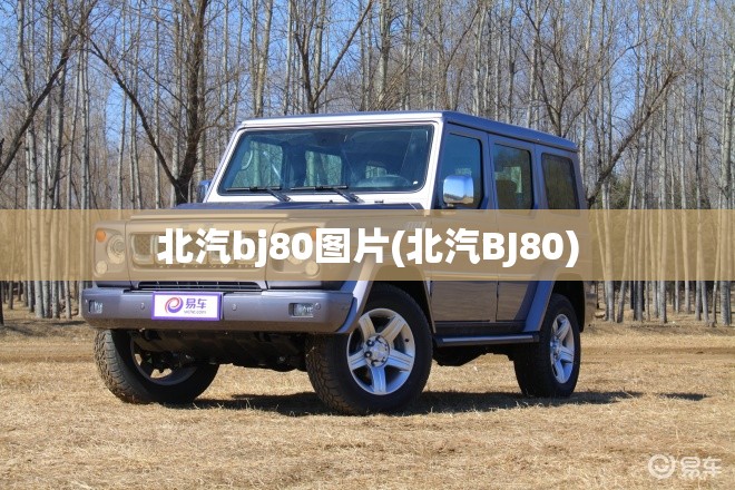 北汽bj80图片(北汽BJ80)