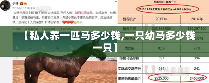 【私人养一匹马多少钱,一只幼马多少钱一只】