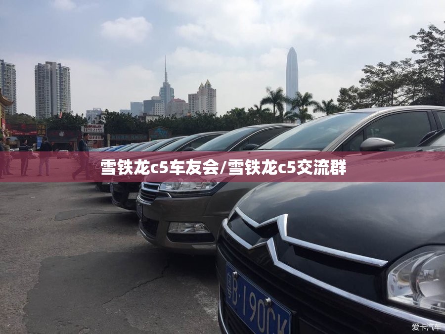 雪铁龙c5车友会/雪铁龙c5交流群