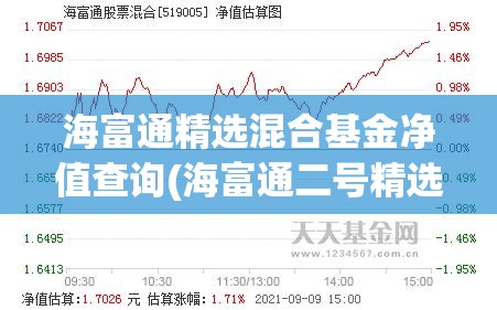海富通精选混合基金净值查询(海富通二号精选基金净值查询)