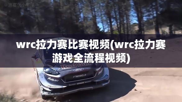 wrc拉力赛比赛视频(wrc拉力赛游戏全流程视频)