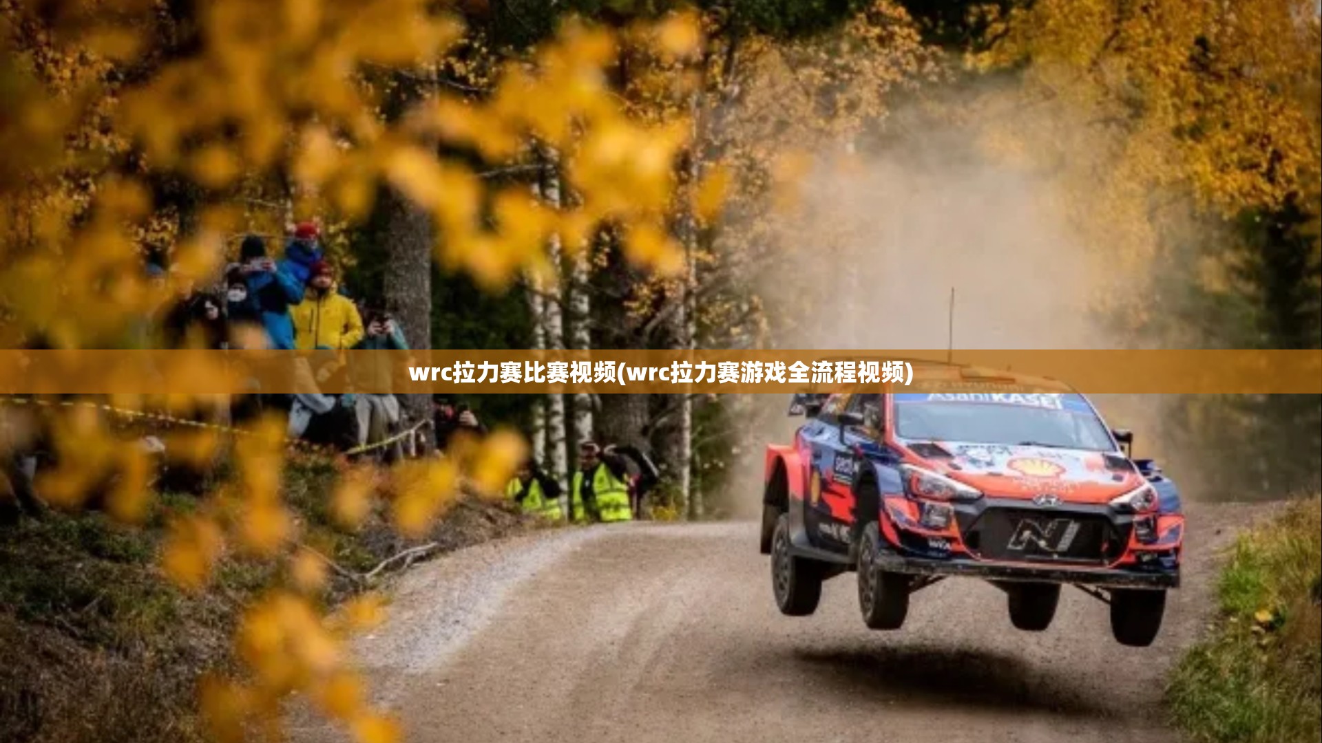 wrc拉力赛比赛视频(wrc拉力赛游戏全流程视频)