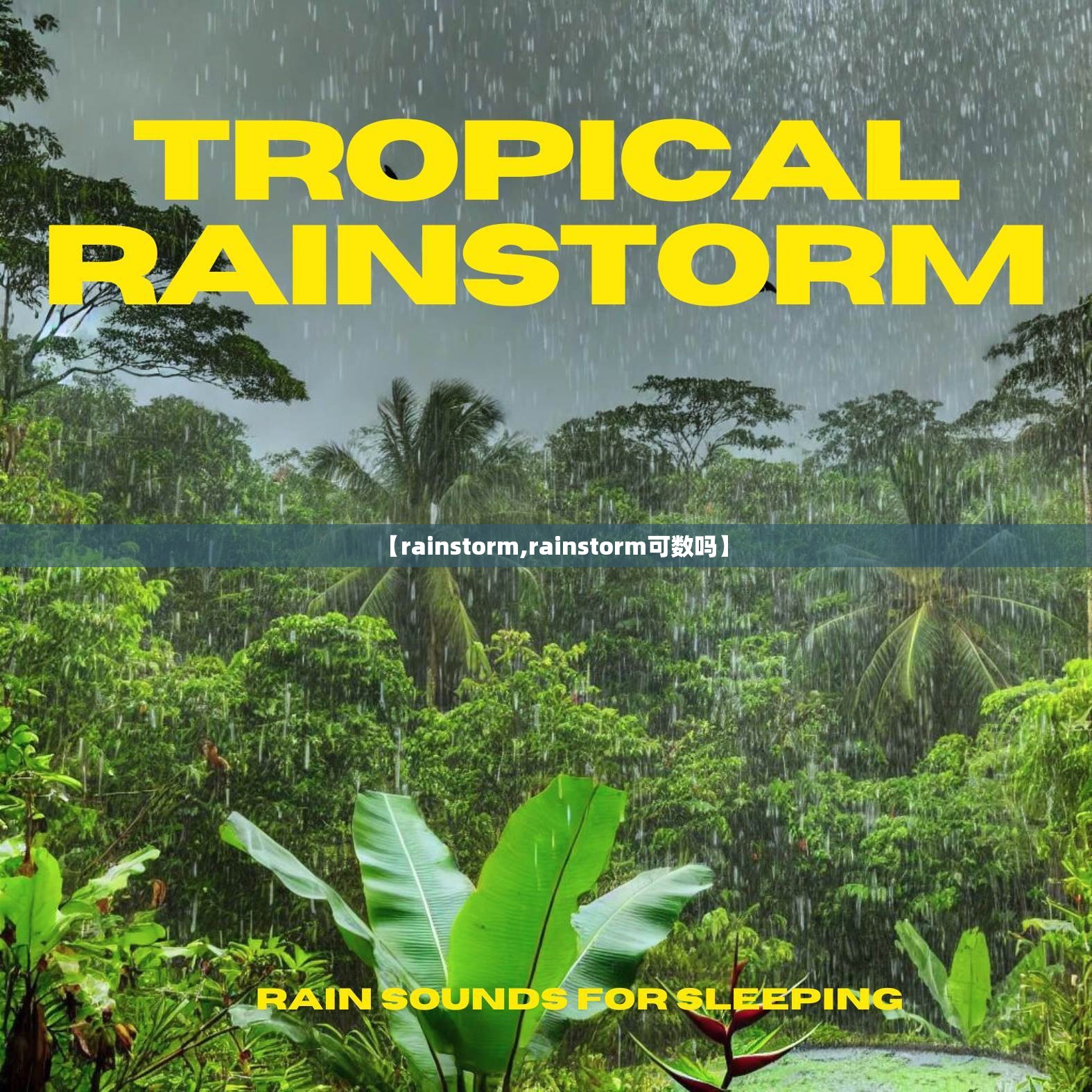 【rainstorm,rainstorm可数吗】 【rainstorm,rainstorm可数吗】