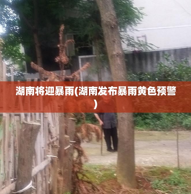 湖南将迎暴雨(湖南发布暴雨黄色预警)