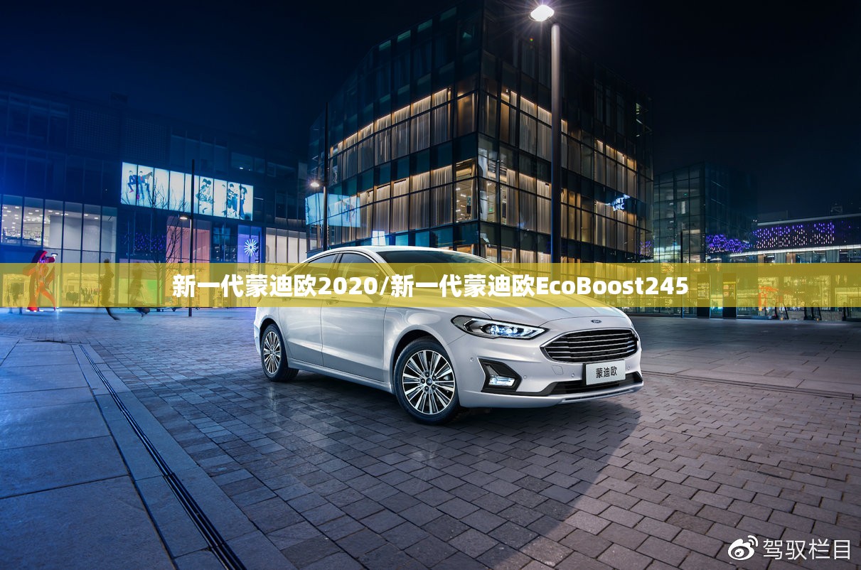 新一代蒙迪欧2020/新一代蒙迪欧EcoBoost245