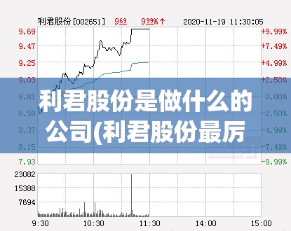 利君股份是做什么的公司(利君股份最厉害三个公司)