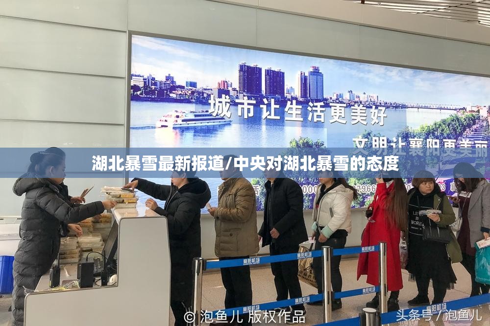 湖北暴雪最新报道/中央对湖北暴雪的态度 湖北暴雪最新报道/中央对湖北暴雪的态度