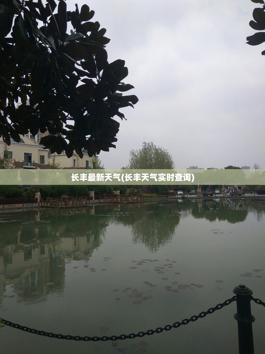 长丰最新天气(长丰天气实时查询)