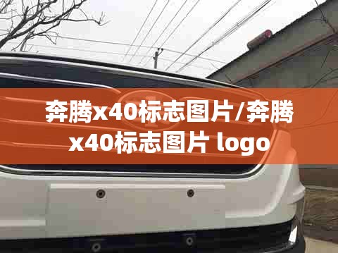 奔腾x40标志图片/奔腾x40标志图片 logo 奔腾x40标志图片/奔腾x40标志图片 logo