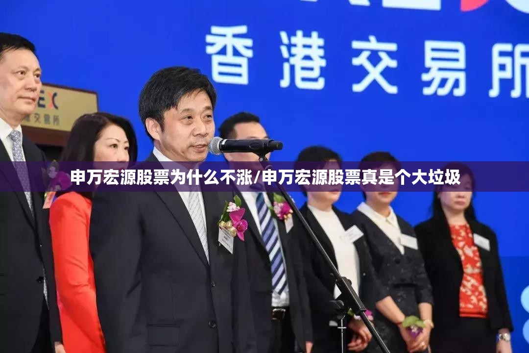 申万宏源股票为什么不涨/申万宏源股票真是个大垃圾