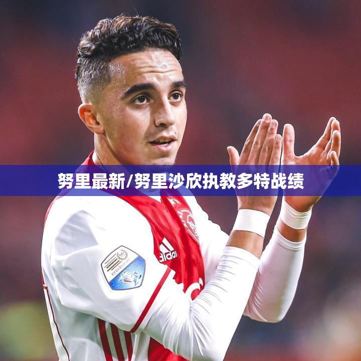 努里最新/努里沙欣执教多特战绩