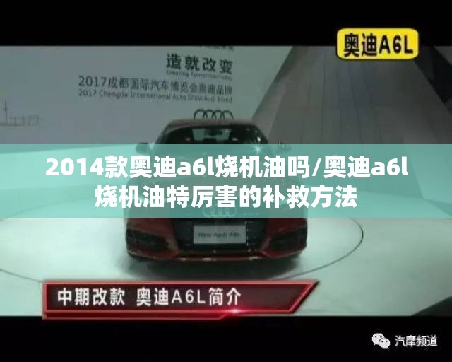 2014款奥迪a6l烧机油吗/奥迪a6l烧机油特厉害的补救方法