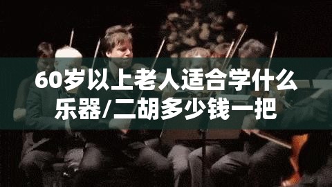 60岁以上老人适合学什么乐器/二胡多少钱一把