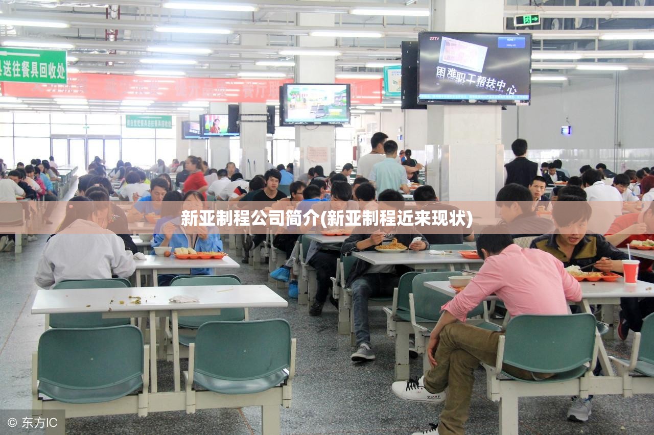 新亚制程公司简介(新亚制程近来现状)
