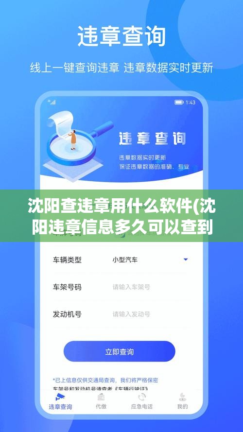 沈阳查违章用什么软件(沈阳违章信息多久可以查到)