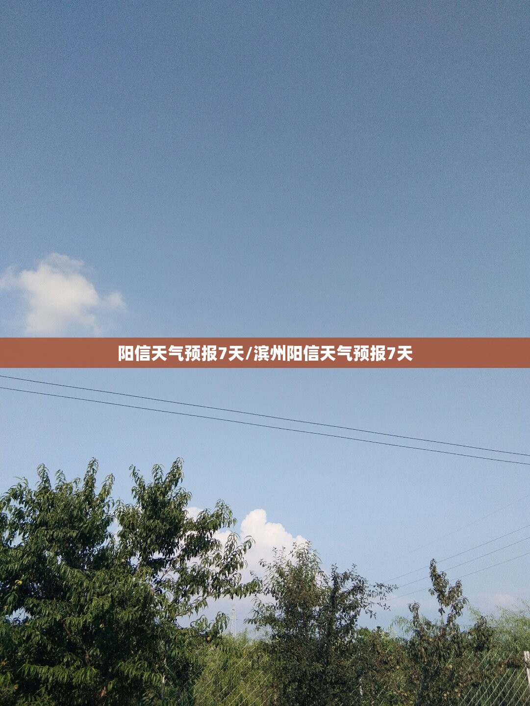 阳信天气预报7天/滨州阳信天气预报7天