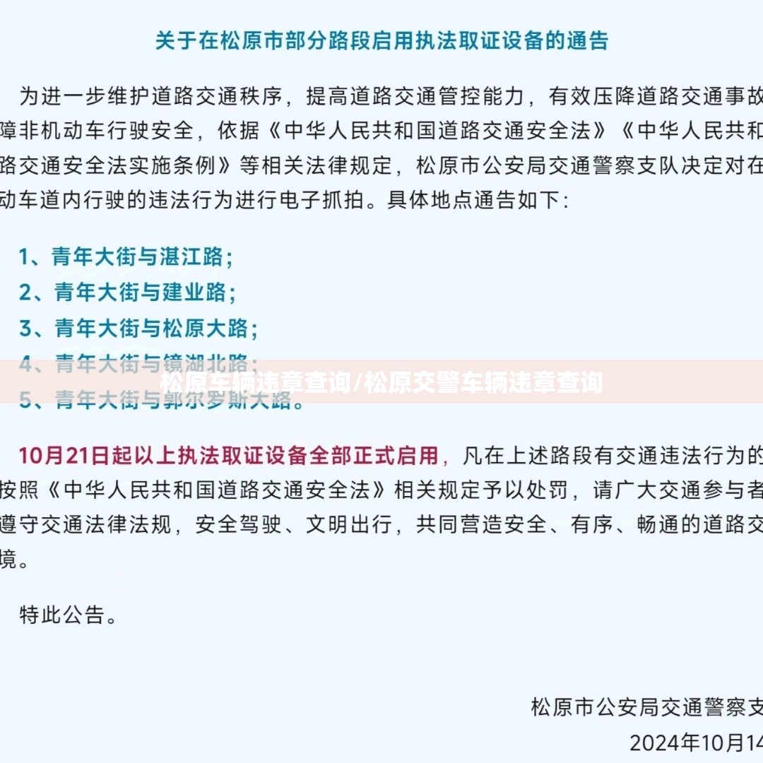 松原车辆违章查询/松原交警车辆违章查询