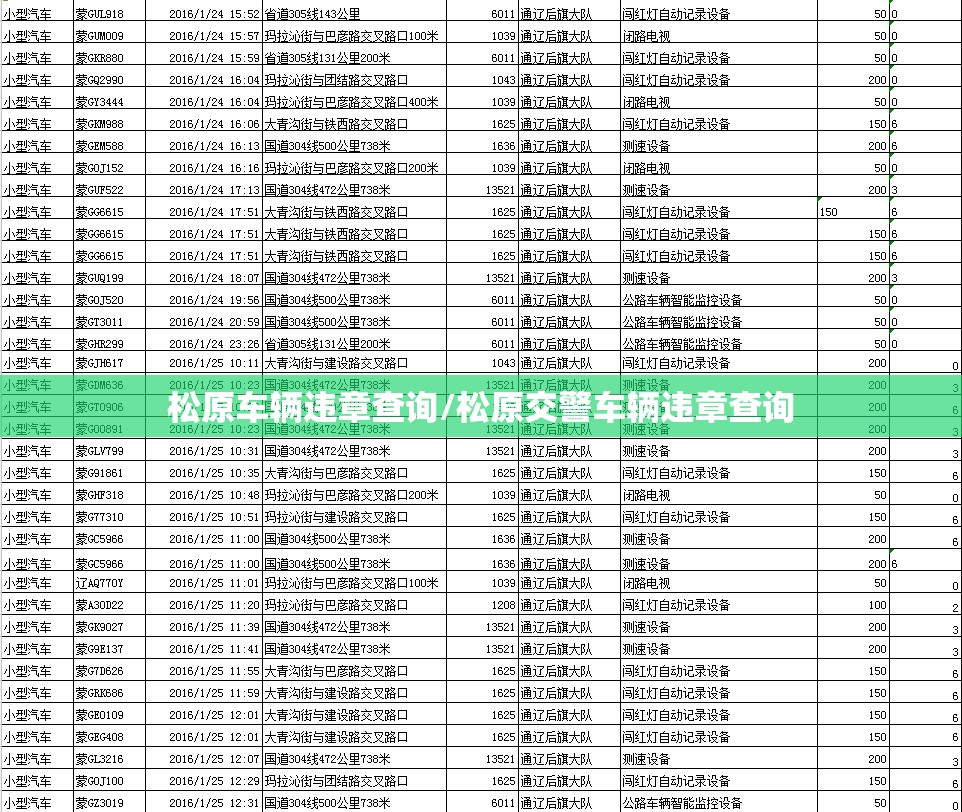 松原车辆违章查询/松原交警车辆违章查询