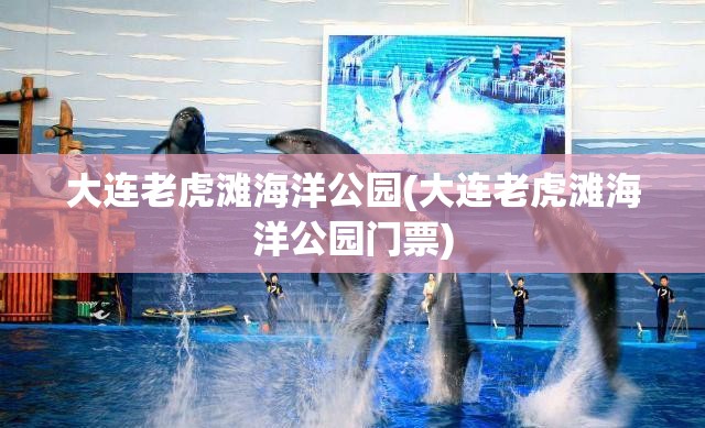 大连老虎滩海洋公园(大连老虎滩海洋公园门票) 大连老虎滩海洋公园(大连老虎滩海洋公园门票)