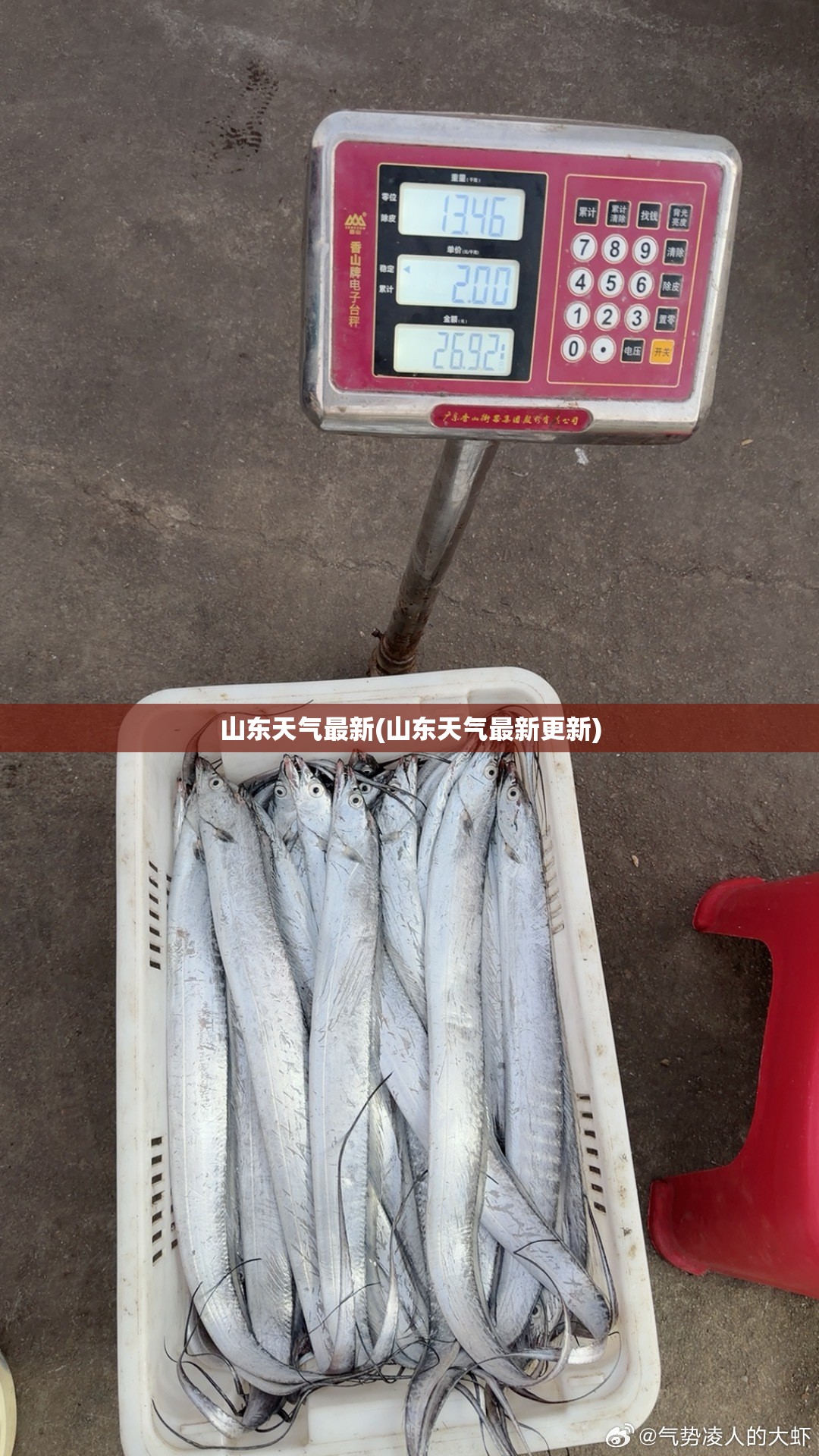 山东天气最新(山东天气最新更新)